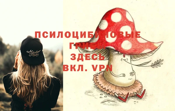 ECSTASY Кинешма
