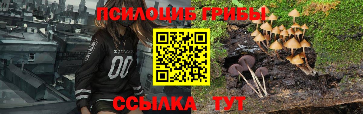 Псилоцибиновые грибы Magic Shrooms Коряжма